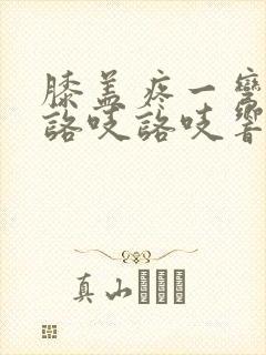 膝盖疼一弯曲就咯吱咯吱响