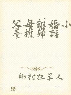 父母离婚小孩抚养权归谁封面