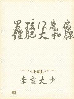 男孩12岁扁桃体肥大和腺样体肥大