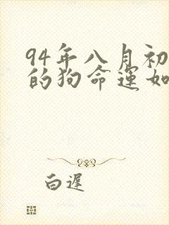 94年八月初一的狗命运如何