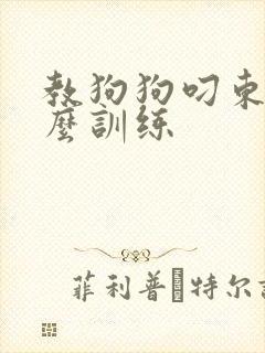 教狗狗叼东西怎么训练封面