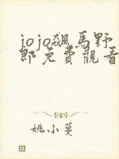 jojo飙马野郎免费观看