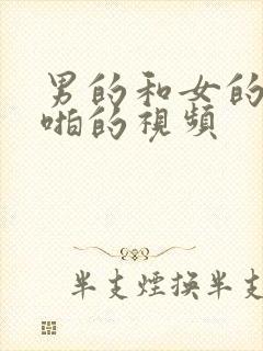 男的和女的啪啪啪的视频