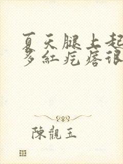 夏天腿上起了好多红疙瘩很痒