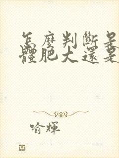 怎么判断是扁桃体肥大还是腺样体肥大