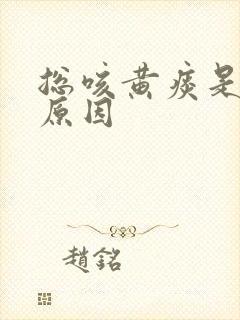 总咳黄痰是什么原因