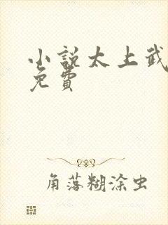 小说太上武神诀免费封面