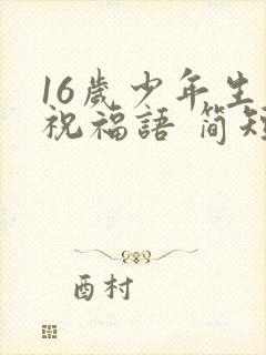 16岁少年生日祝福语 简短独特