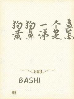 狗狗一个鼻孔流黄鼻涕是怎么回事封面