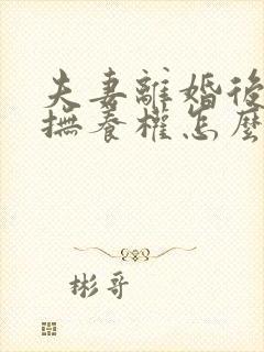 夫妻离婚后小孩抚养权怎么判定