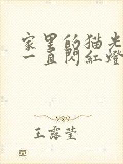 家里的猫光信号一直闪红灯封面