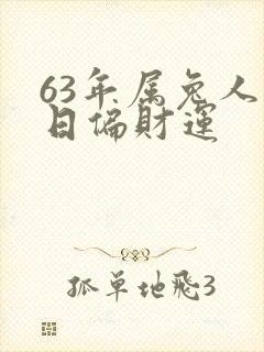 63年属兔人今日偏财运