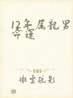 12年属龙男孩命运封面
