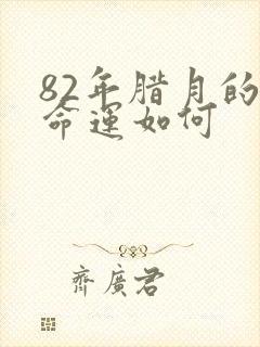 82年腊月的狗命运如何