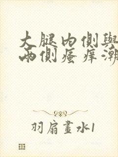 大腿内侧与阴囊两侧瘙痒潮湿怎么治