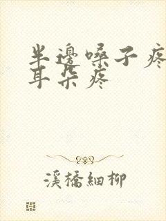 半边嗓子疼牙疼耳朵疼封面