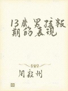 13岁男孩叛逆期的表现