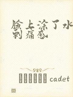 脸上涂了水乳有刺痛感封面