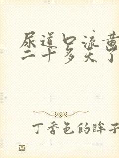 尿道口流黄脓都二十多天了封面