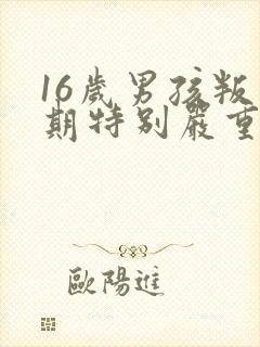 16岁男孩叛逆期特别严重怎么办还打父母封面