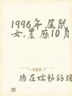 1996年属鼠女,农历10月份出生的命运