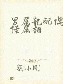 男属龙配偶的最佳属相封面