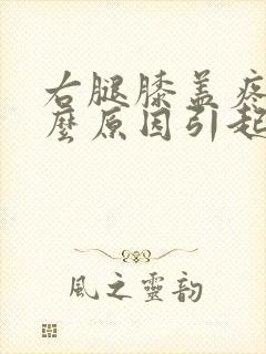 右腿膝盖疼痛什么原因引起的