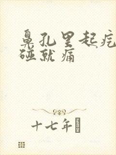 鼻孔里起疙瘩一碰就痛封面