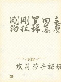 刚刚买回来的狗狗拉稀怎么办