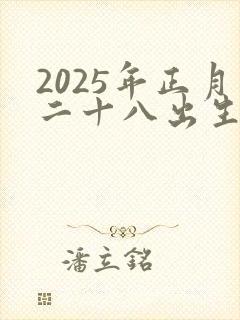 2025年正月二十八出生的男孩命运封面