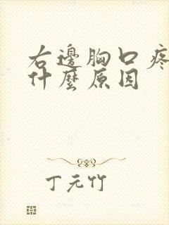 右边胸口疼痛是什么原因