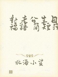 对老公生日的祝福语 简短独特