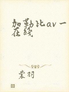 加勒比av一区在线