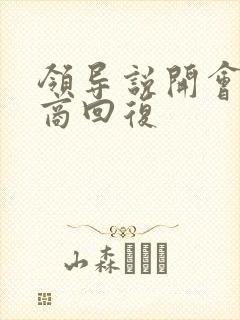 领导说开会高情商回复