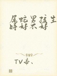 属蛇男孩生在子时好不好