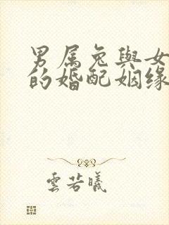 男属兔与女属龙的婚配姻缘怎样