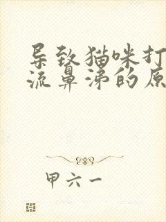 导致猫咪打喷嚏流鼻涕的原因