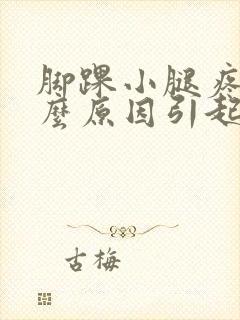 脚踝小腿疼痛什么原因引起的