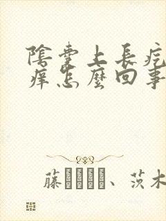 阴囊上长疙瘩很痒怎么回事