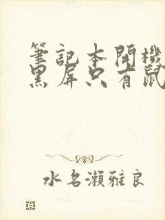 笔记本开机桌面黑屏只有鼠标显示