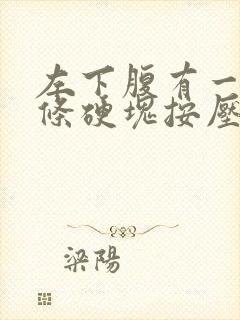 左下腹有一个长条硬块按压疼痛,容易放屁