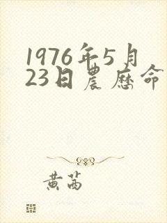 1976年5月23日农历命运