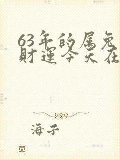 63年的属兔人财运今天在哪方