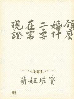 现在二婚领结婚证需要什么证件