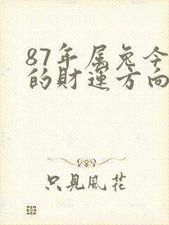 87年属兔今年的财运方向