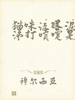 猫咪流眼泪流鼻涕打喷嚏是怎么回事