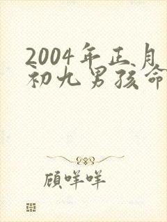 2004年正月初九男孩命运如何