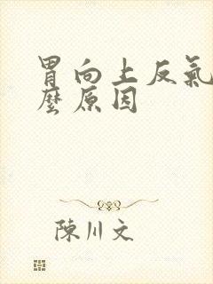 胃向上反气是什么原因