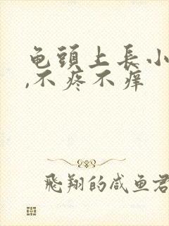 龟头上长小疙瘩,不疼不痒