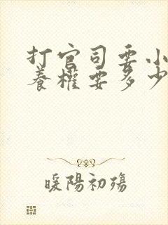 打官司要小孩抚养权要多少钱